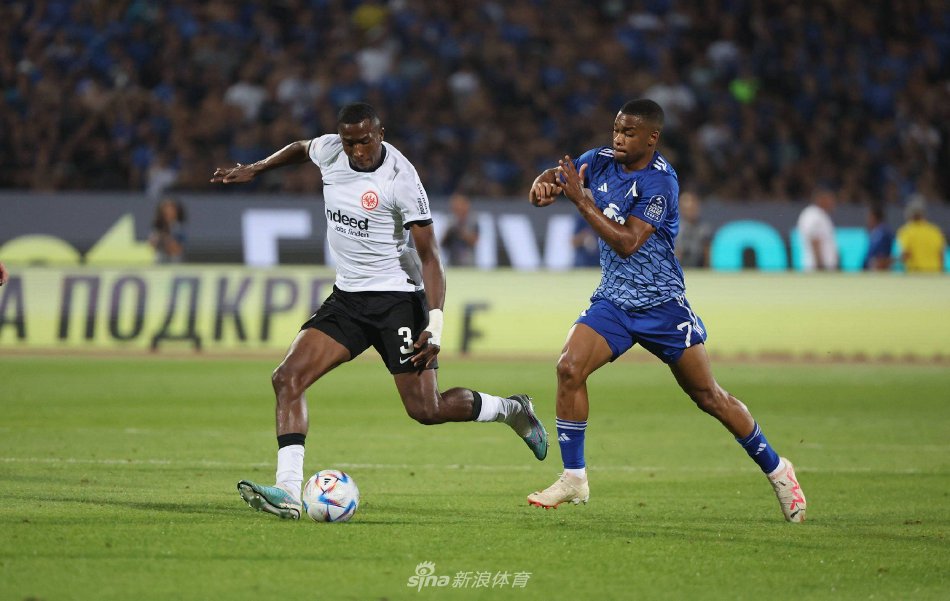 篮未来走向 篮未来走向