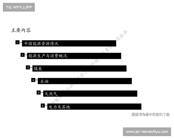 以消耗为中心探讨资源使用效率对可持续发展的影响与优化路径